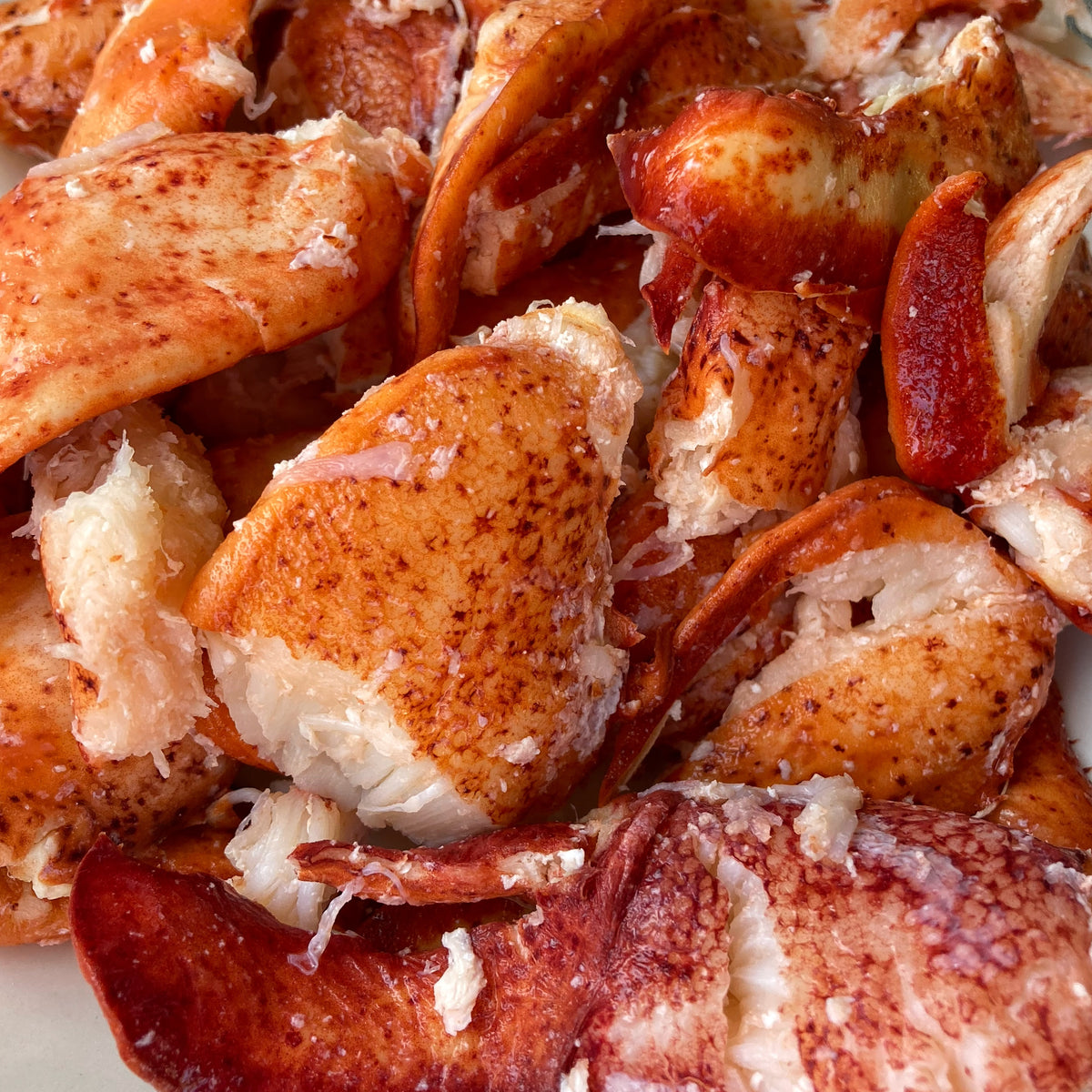 Frozen Lobster Meat PreOrder PickUp Only Blue Island Oysters